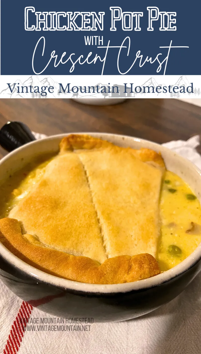Chicken Pot Pie with Crescent Crust
