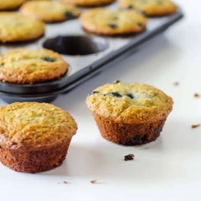Coconut Blueberry Chia Muffins