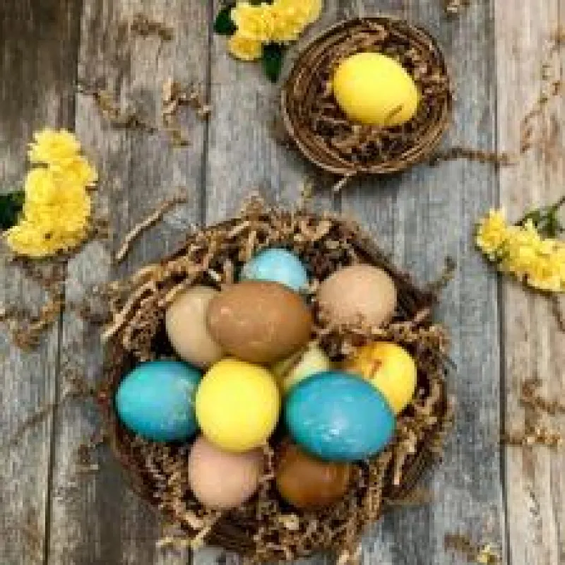 Easter Eggs – Natural Dye