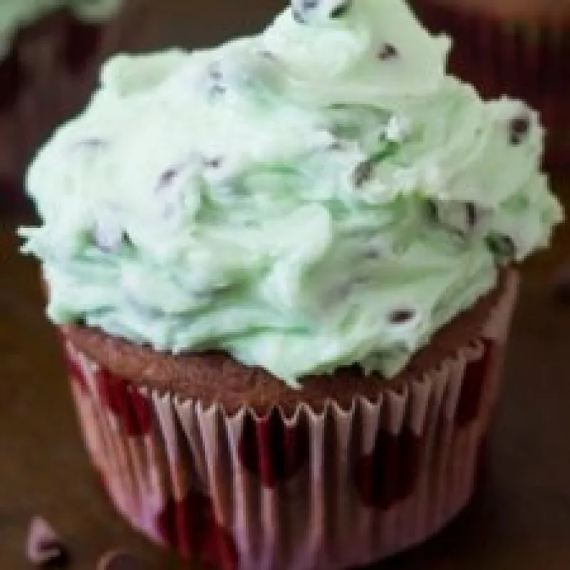 Chocolate Cupcakes With Mint Chocolate Chip Frosting
