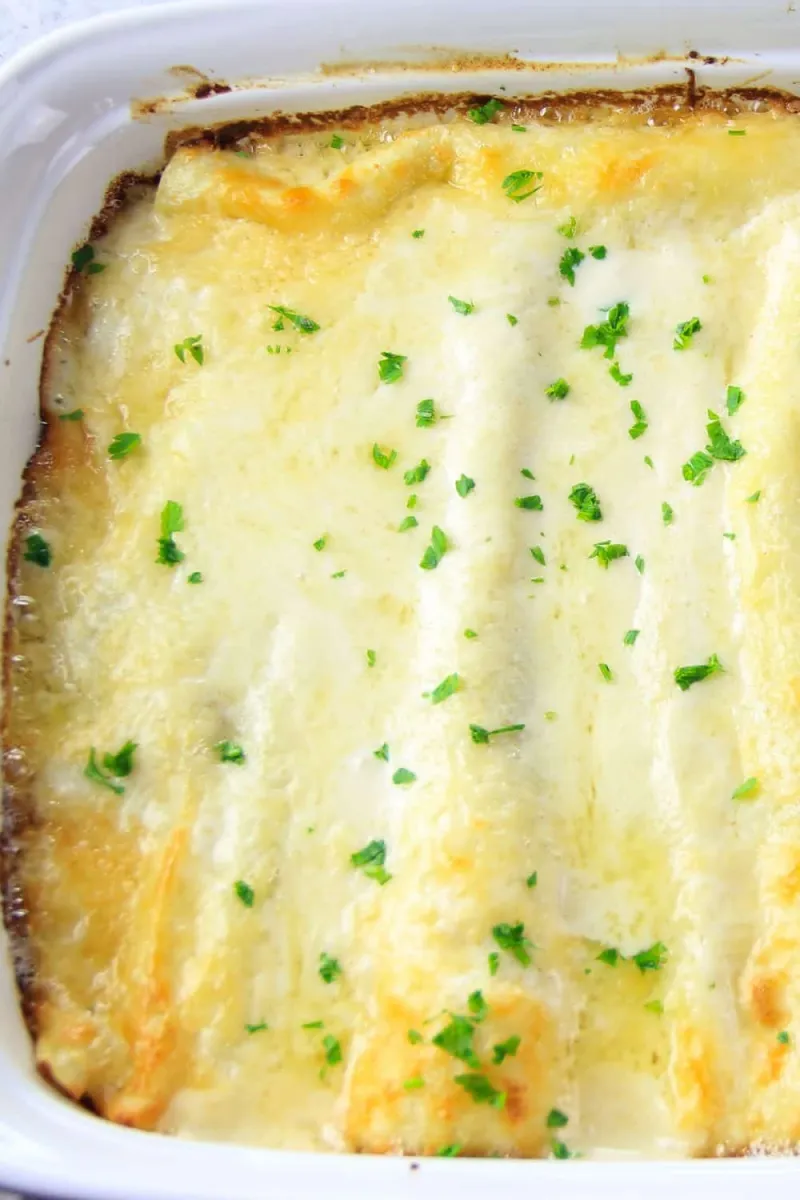 Chicken Cannelloni Recipe