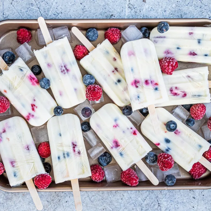 Fresh Fruit and Yogurt Popsicles