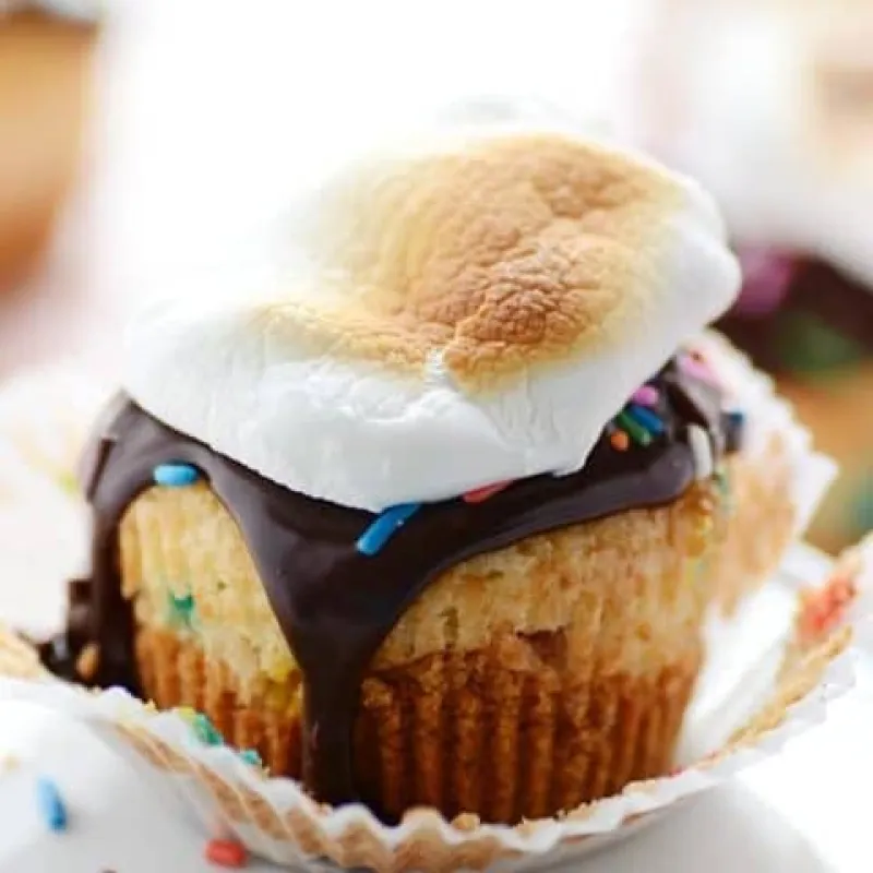 Funfetti S'mores Cupcakes