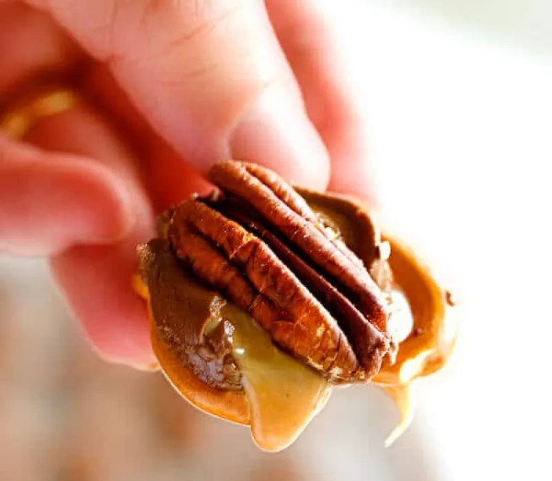 Rolo Pretzel Turtles Recipe