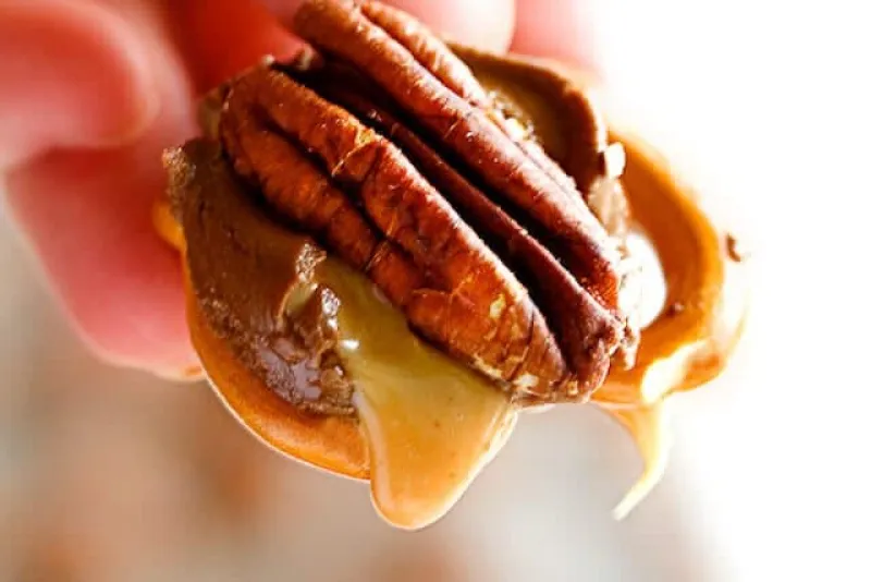 Rolo Pretzel Turtles