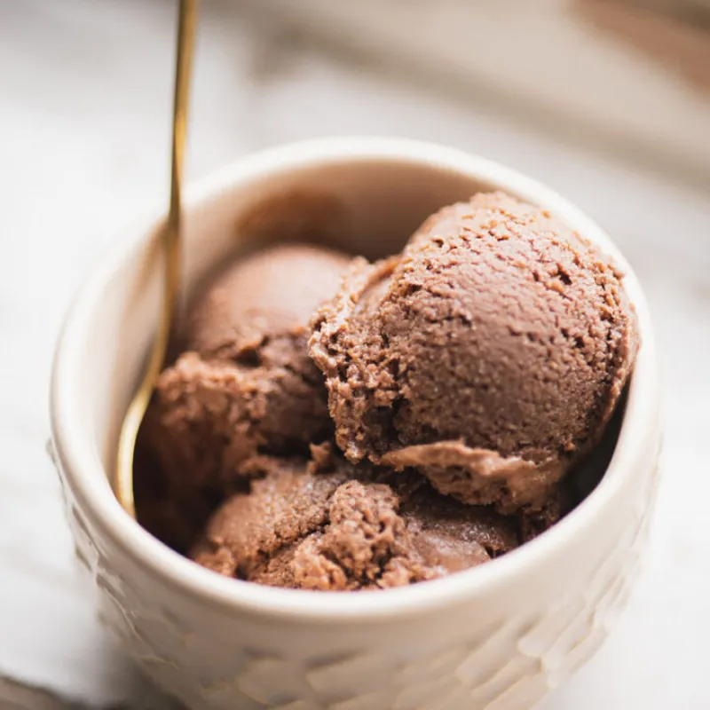 Vegan Chocolate Ice Cream
