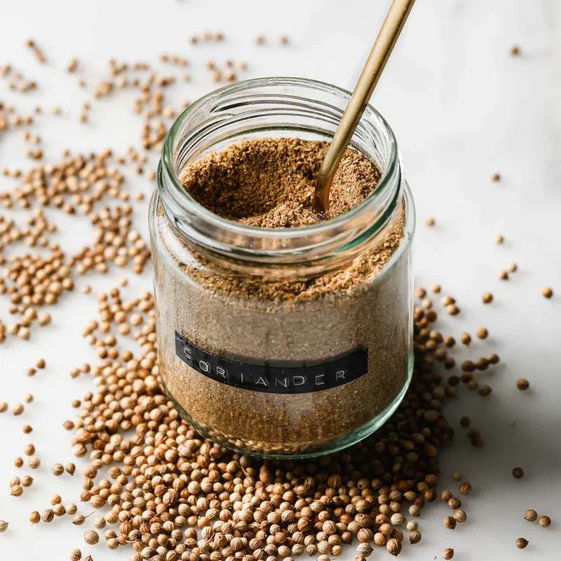 5-Minute Homemade Coriander Powder (Ground Coriander)