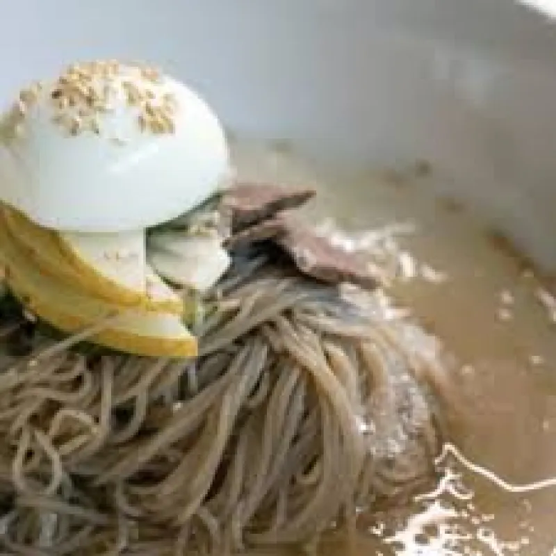Mul Naengmyeon (Cold Noodle Soup)