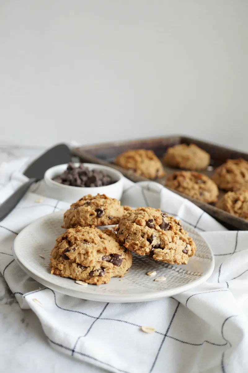 vegan oatmeal chocolate chip cookies