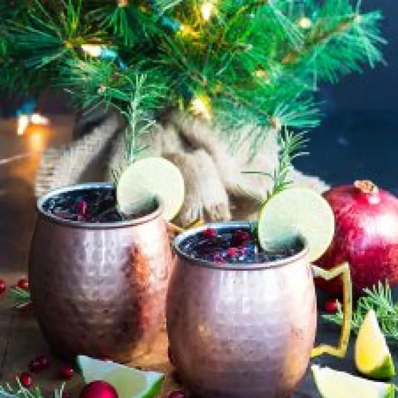 Pomegranate Moscow Mule