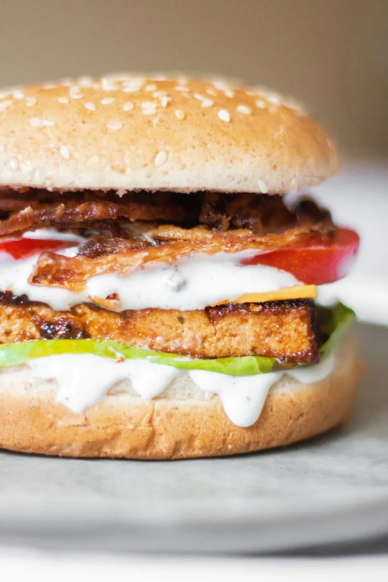 45+ Tofu Recipes That Are Just Insanely TASTY - BBQ Tofu Patty Recipe