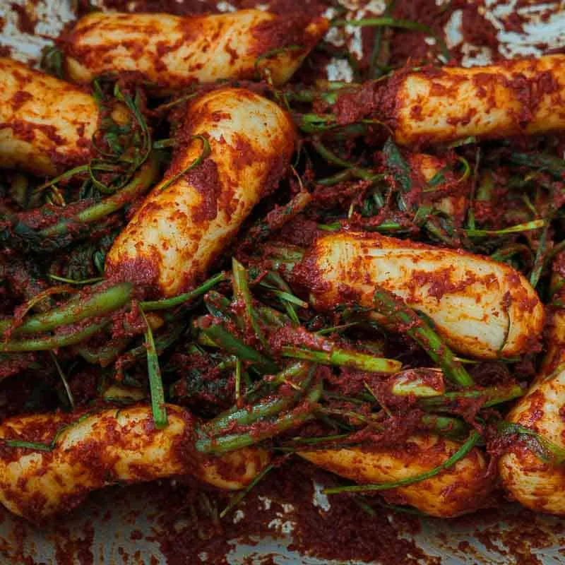 Vegan Ponytail Kimchi (Chonggak-Kimchi).