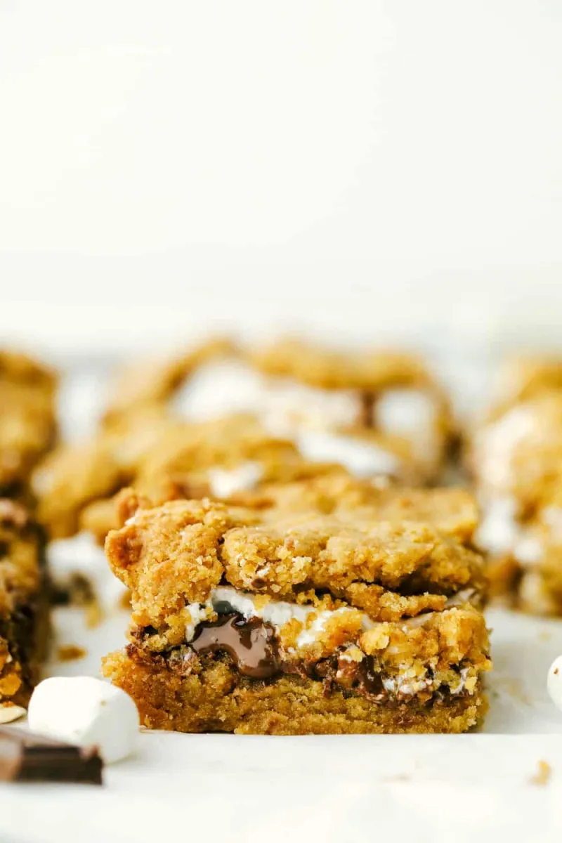 To Die For Ooey Gooey S'mores Bars