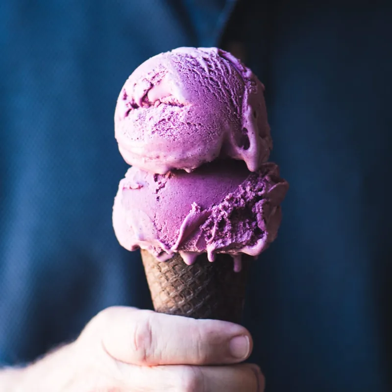 Wild Blueberry Ice Cream