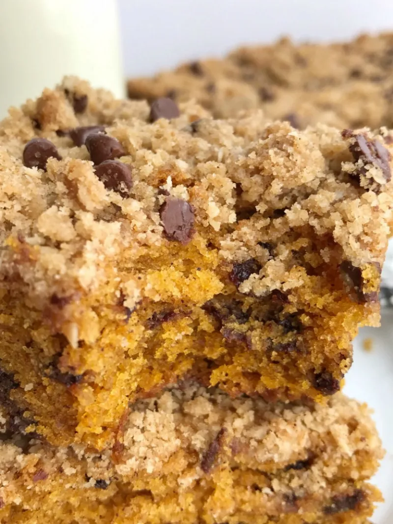 Chocolate Chip Streusel Pumpkin Cake