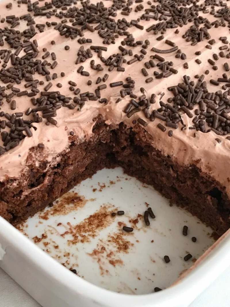 Skinny Chocolate Cake
