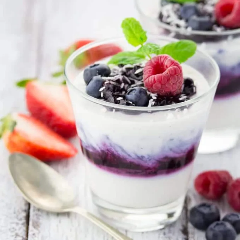 Vegan Blueberry Coconut Panna Cotta
