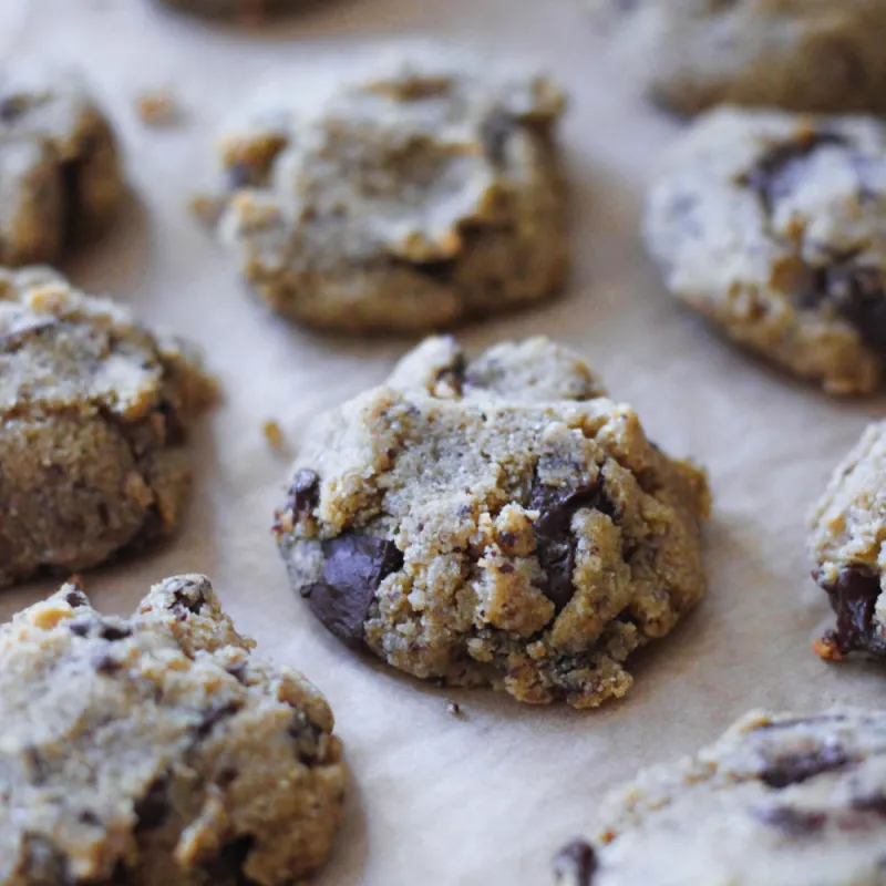Paleo Chestnut Chocolate Chip Cookies