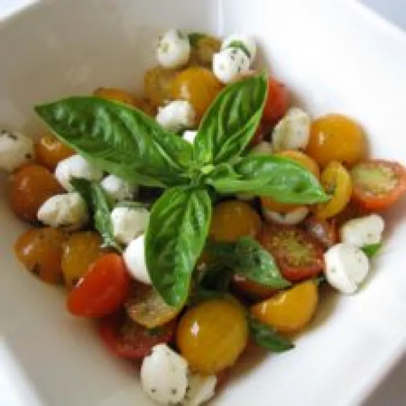Organic Tomato Caprese Salad Recipe