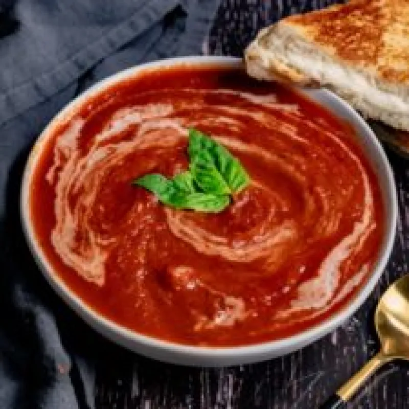 Vegan Grilled Cheese Sandwiches and Instant Pot Tomato Soup