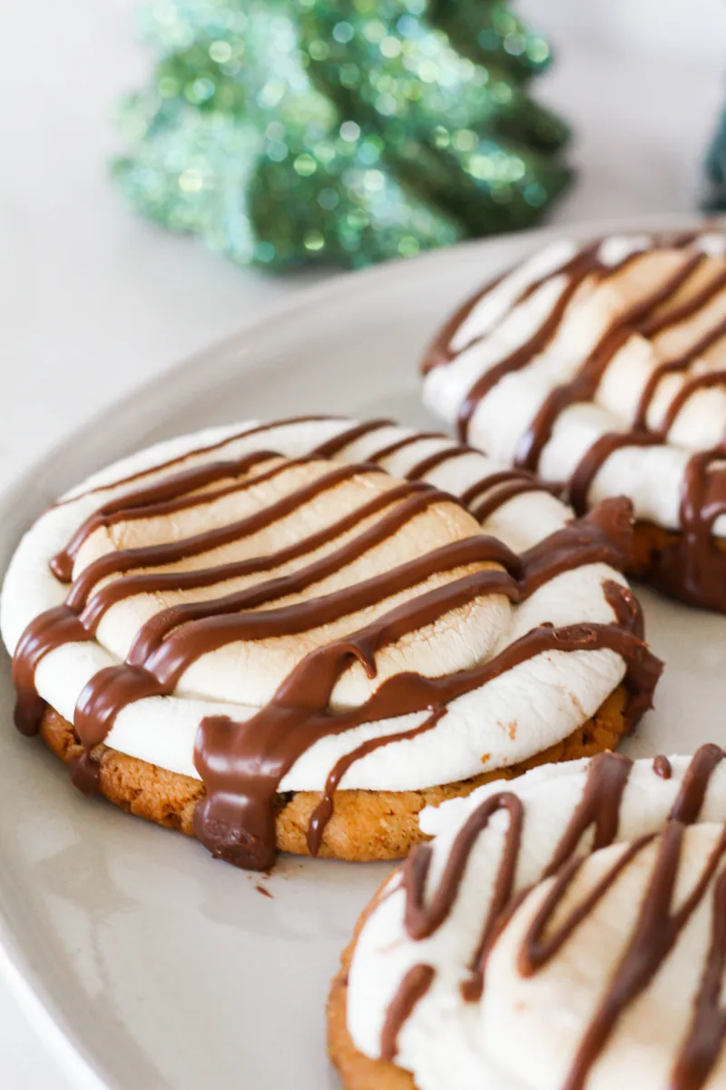 Peanut Butter S'more Cookies